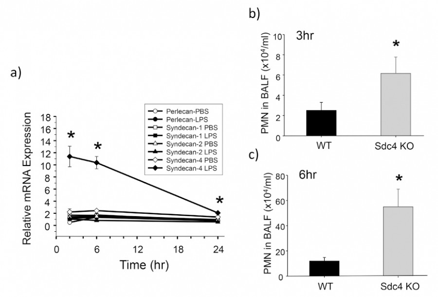 Graph showing relative mRNA expression over time with data points for various treatments and conditions.
