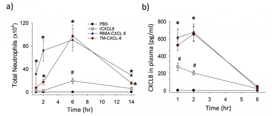 Graph showing neutrophil migration in response to CXCL8 and its mutants over time.