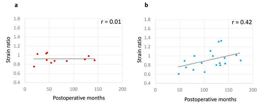 Graph showing the correlation between strain ratio and postoperative months for two groups, with data points in red and blue.