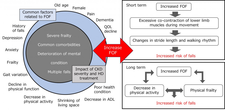Diagram illustrating factors contributing to fear of falling (FOF) in elderly individuals, including physical and mental health conditions.