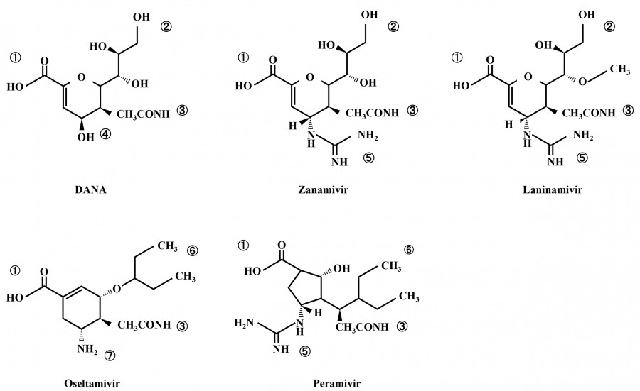 Chemical structures of antiviral drugs: DANA, Zanamivir, Lamivavir, Oseltamivir, and Peramivir.