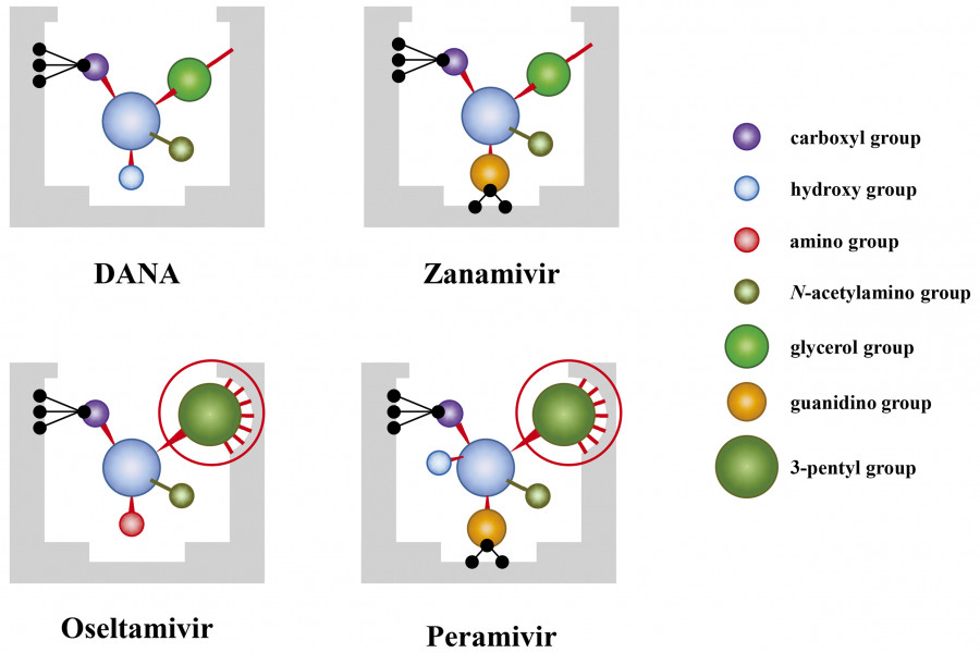 Diagram illustrating the molecular structures of antiviral drugs DANA, Zanamivir, Oseltamivir, and Peramivir, with color-coded functional groups.