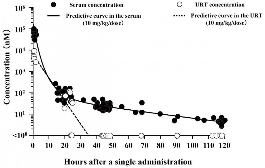 Graph showing serum and URT concentration over time after a single administration, with predictive curves and data points.
