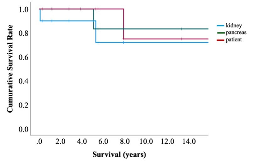 Cumulative survival rates for patients, pancreas grafts, and kidney grafts over 14 years post-transplantation.