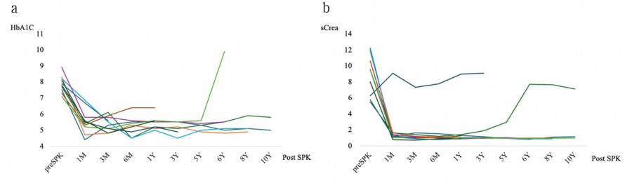 Graph showing the time course of HbA1c and sCrea levels after simultaneous pancreas-kidney transplantation, with notable trends and patient outcomes.