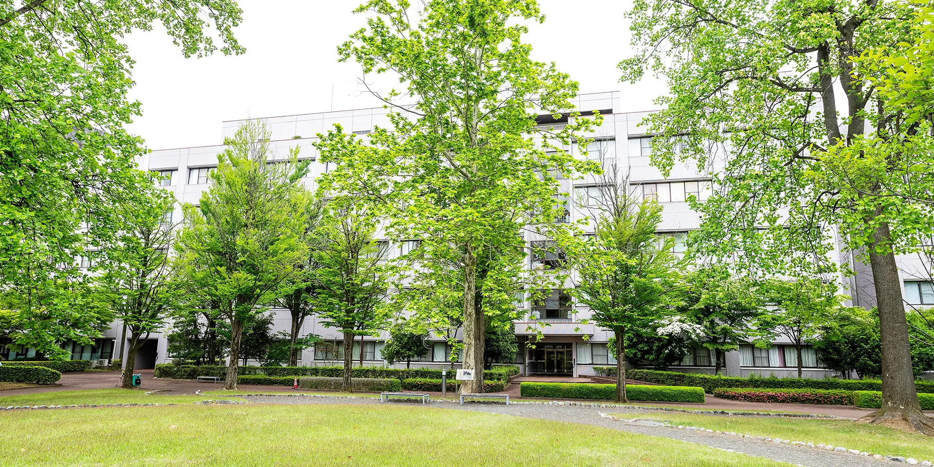 福島県立医科大学のキャンパス風景、緑豊かな木々と建物が見える。