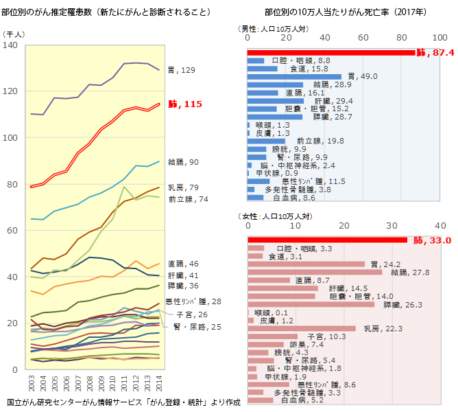 日本におけるがん推定罹患数と死亡率